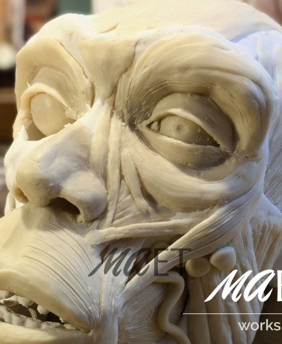 Live Webinars and Workshops