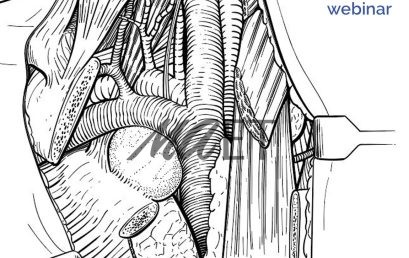 Online video tutorials