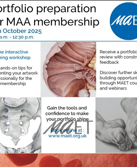 Portfolio Preparation for Professional Membership to the MAA