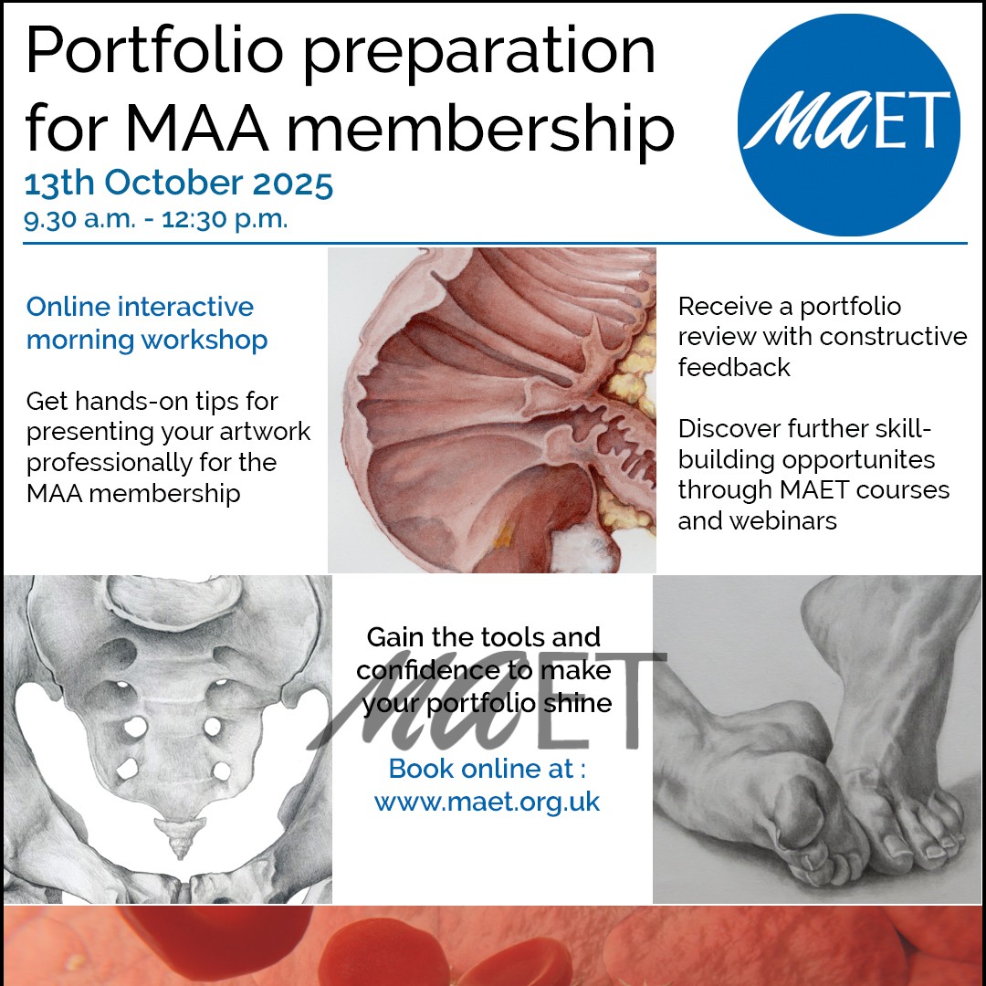 Portfolio Preparation for Professional Membership to the MAA